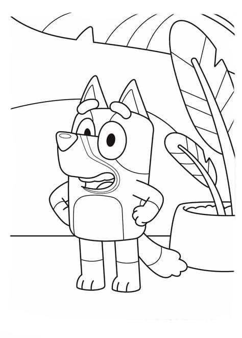 Happy Bluey Tegninger til Farvelægning
