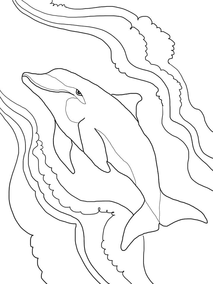 Bottlenose Delfin Tegninger til Farvelægning