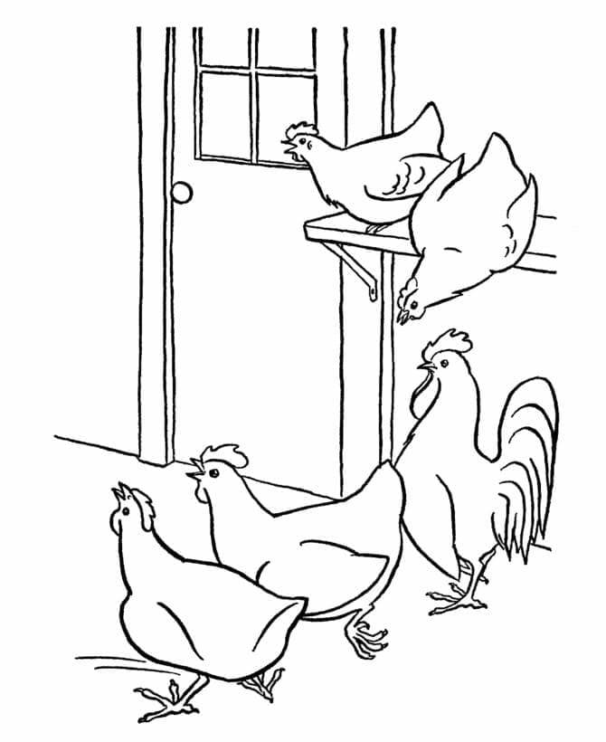 Fem Høns Tegninger til Farvelægning