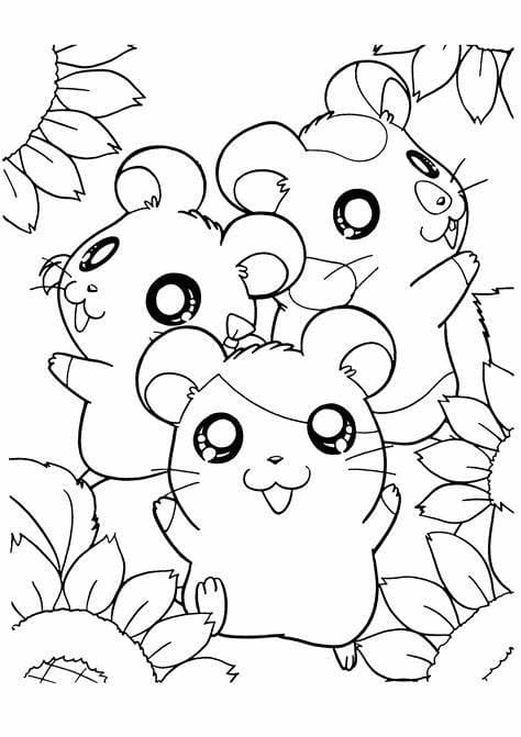Gratis hamstere omrids Tegninger til Farvelægning
