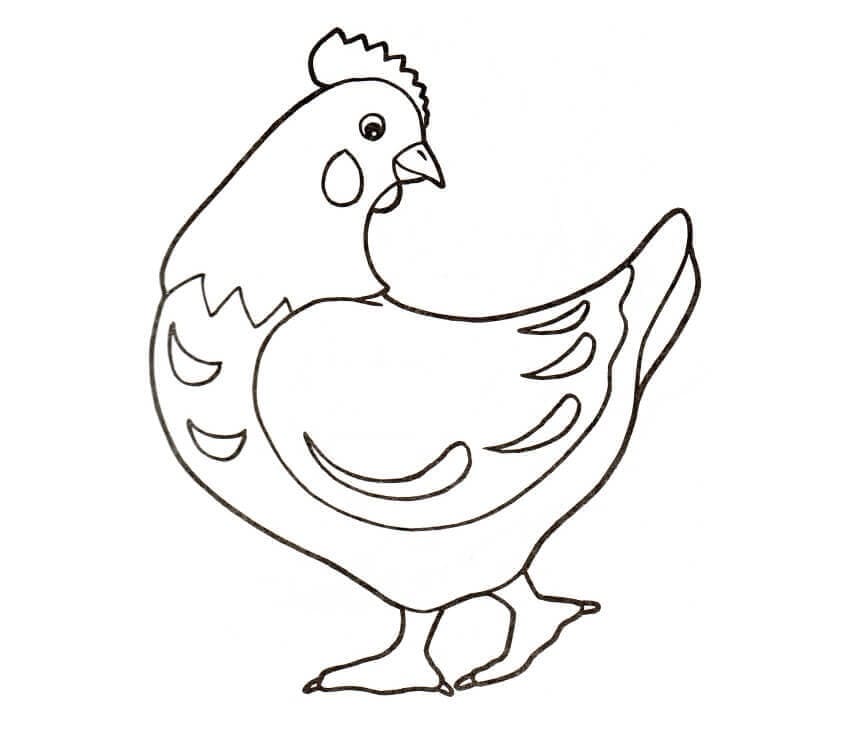 Grundlæggende Høne Tegninger til Farvelægning