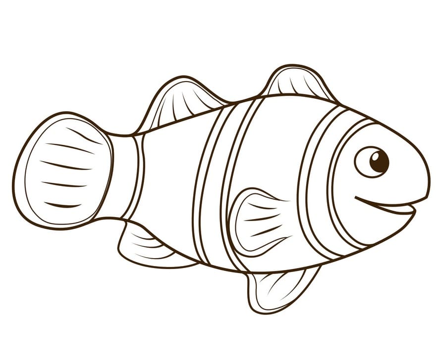 Grundlæggende Klovnefisk Tegninger til Farvelægning