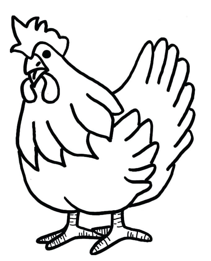 Grundlæggende Kylling Tegninger til Farvelægning