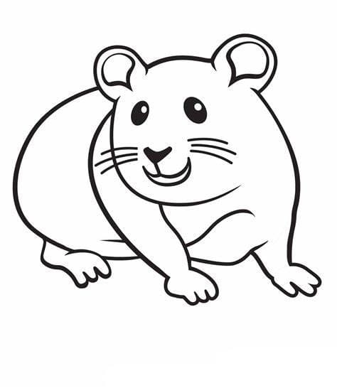 Hamster billede gratis Tegninger til Farvelægning