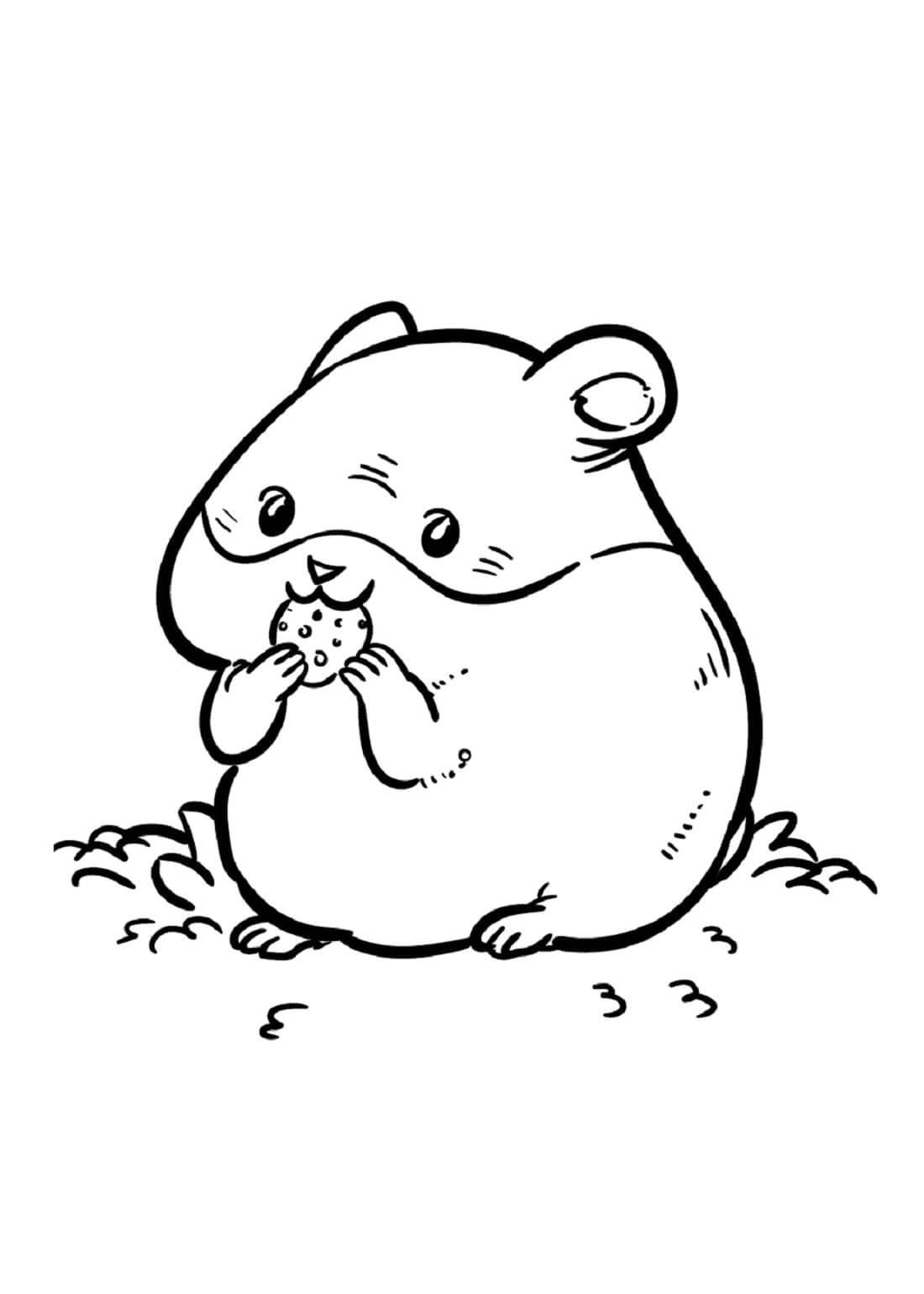 Hamster spiser Tegninger til Farvelægning