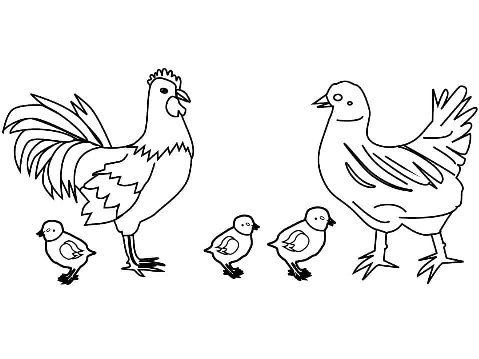Kylling Familie Tegninger til Farvelægning