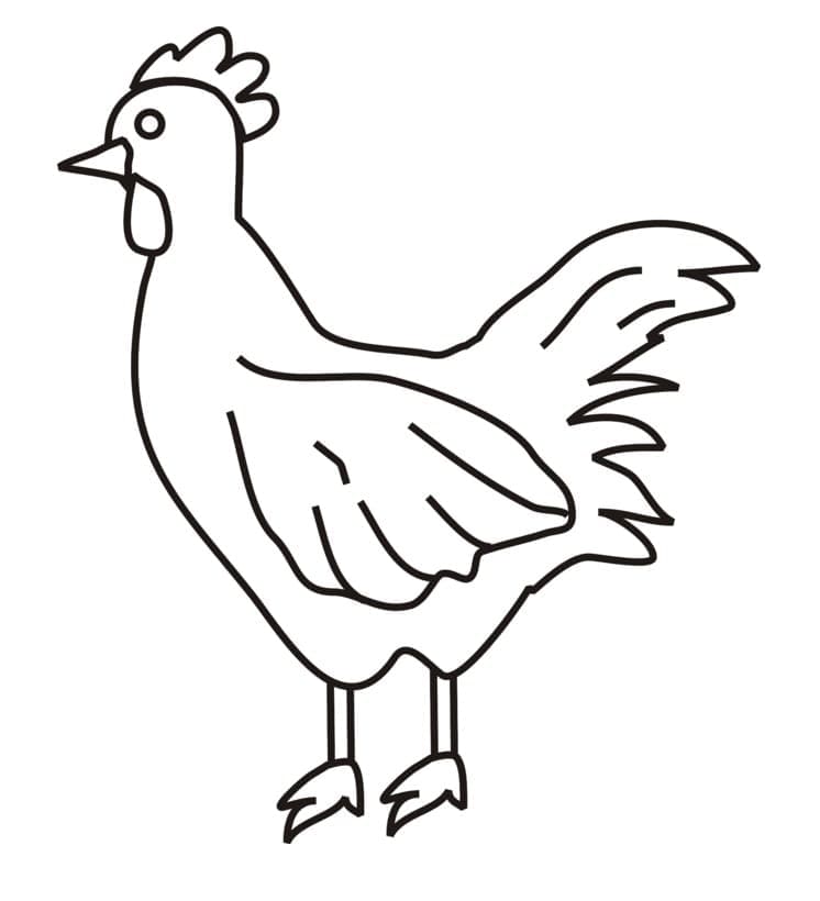 Kylling Gratis Billeder Tegninger til Farvelægning