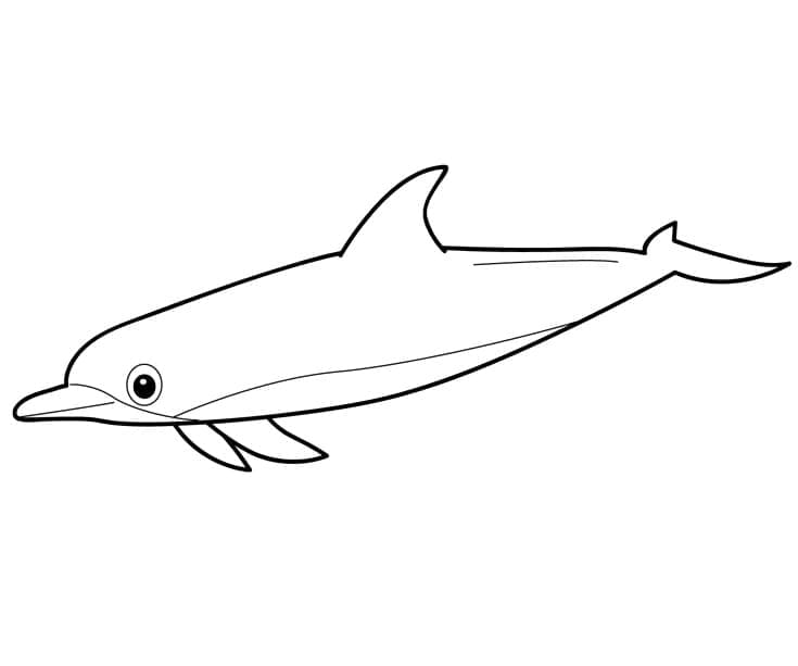 Normal Delfin Tegninger til Farvelægning