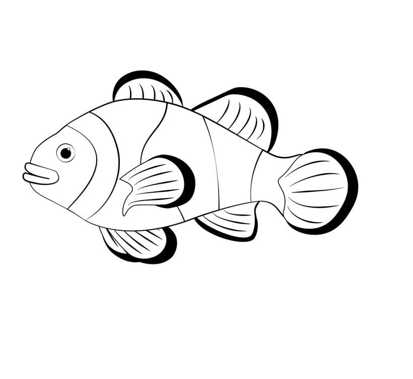 Simpel Klovnefisk Tegninger til Farvelægning