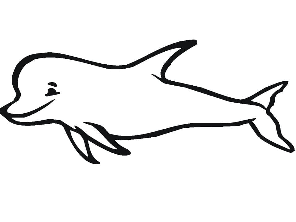 Tegning Delfin Tegninger til Farvelægning