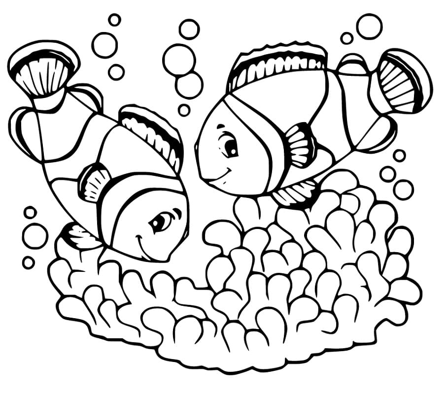 To Klovnefisk Tegninger til Farvelægning