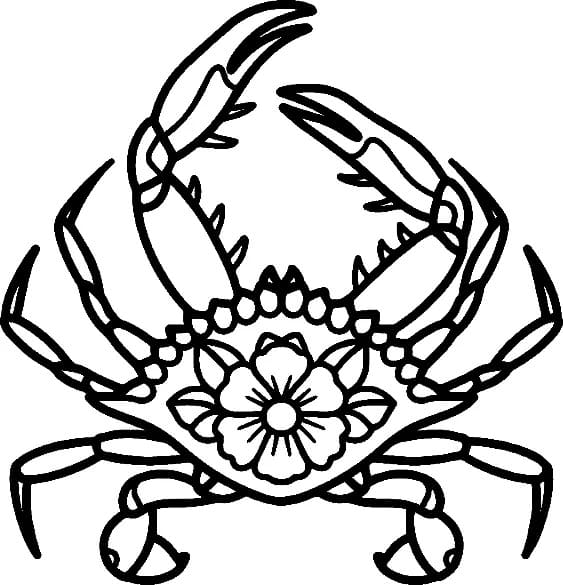 Æstetisk Krabbe Tegninger til Farvelægning