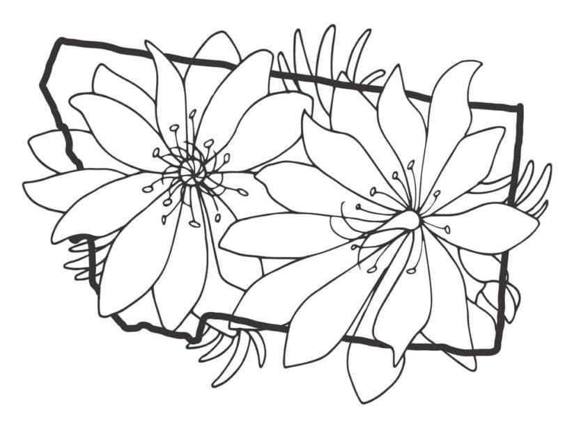 Æstetiske Blomster Tegninger til Farvelægning