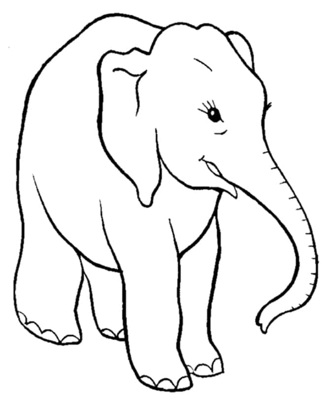Dejlig Elefant Tegninger til Farvelægning