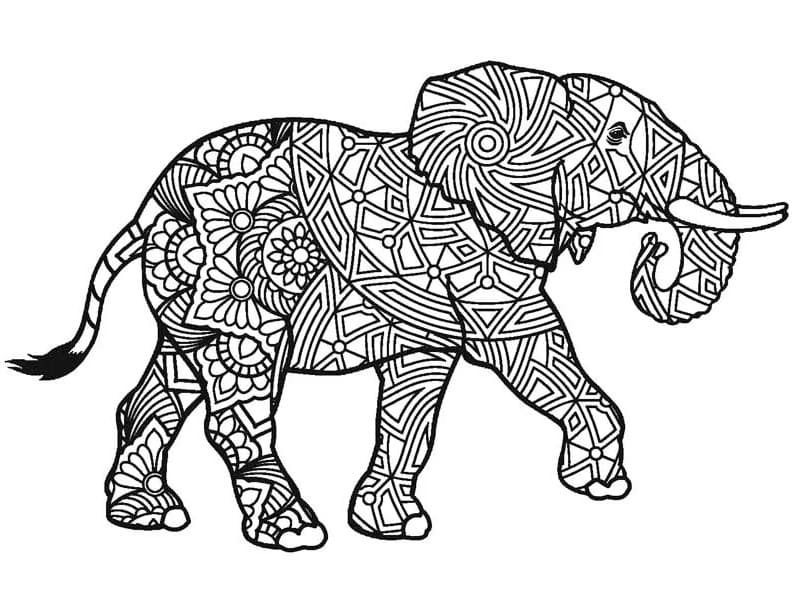 Elefant For Voksne Tegninger til Farvelægning
