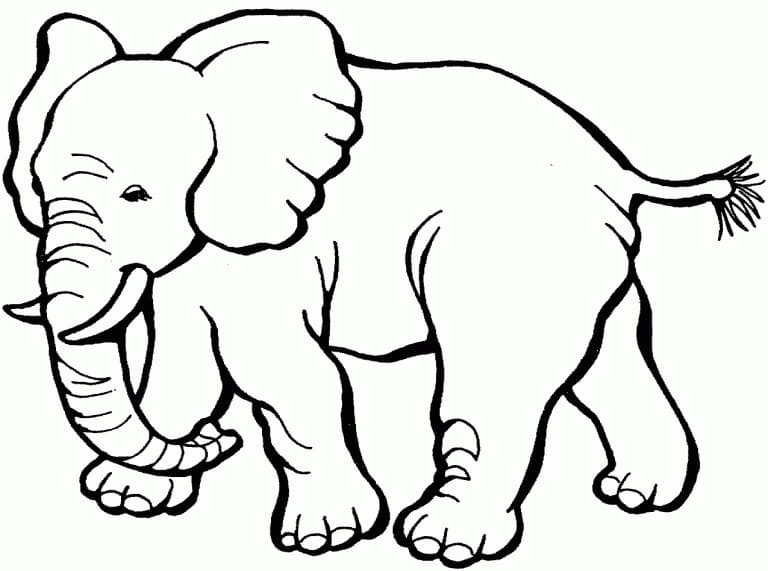 Elefant Gratis At Bruge Tegninger til Farvelægning