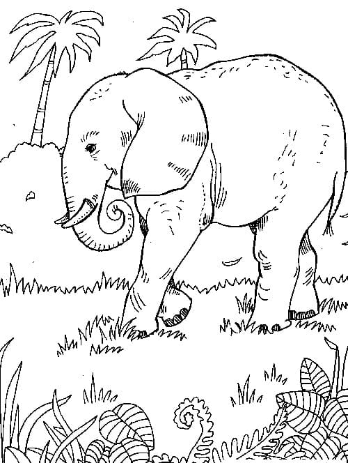Elefant I Naturen Tegninger til Farvelægning
