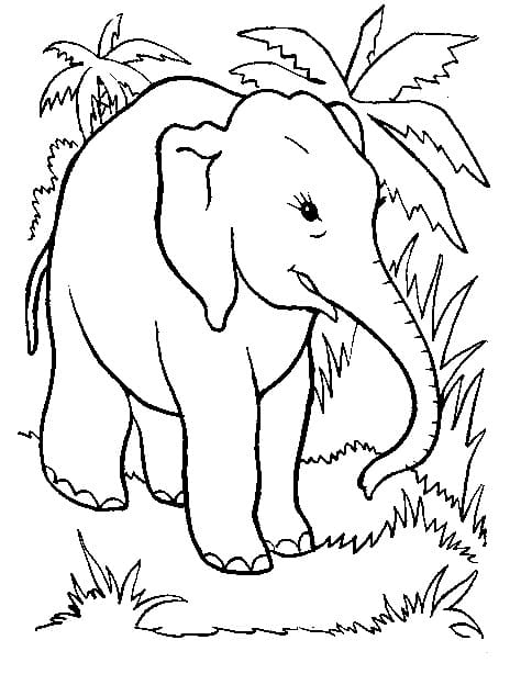 Elefant I Skoven Tegninger til Farvelægning