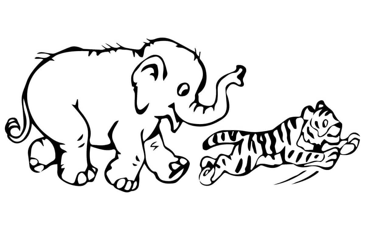 Elefant Og Tiger Tegninger til Farvelægning