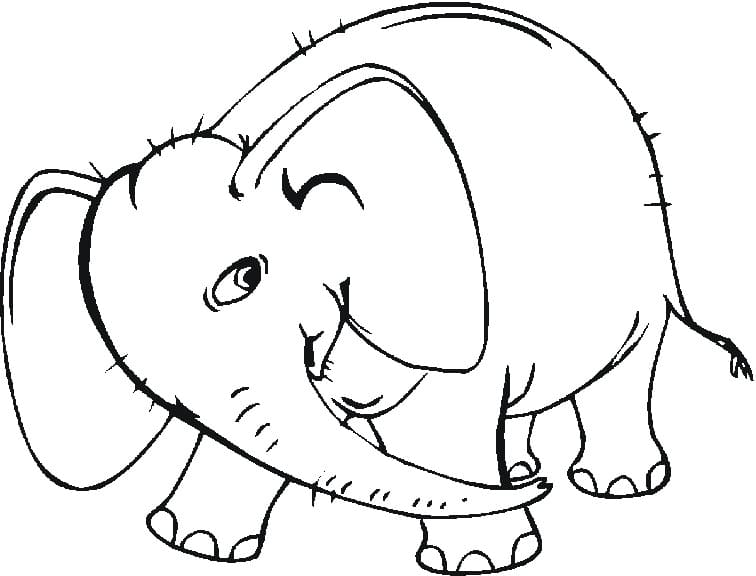 Elefantfrit Design Tegninger til Farvelægning