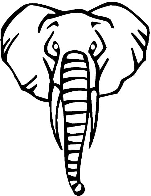 Elefanthoved Tegninger til Farvelægning