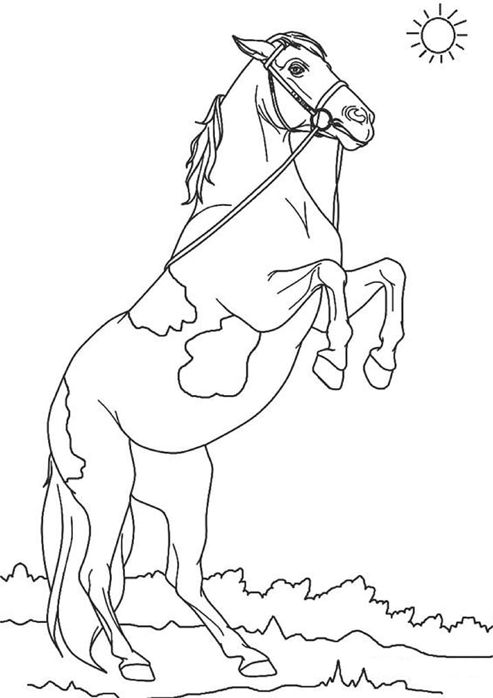 Fantastisk Hestespringning Tegninger til Farvelægning