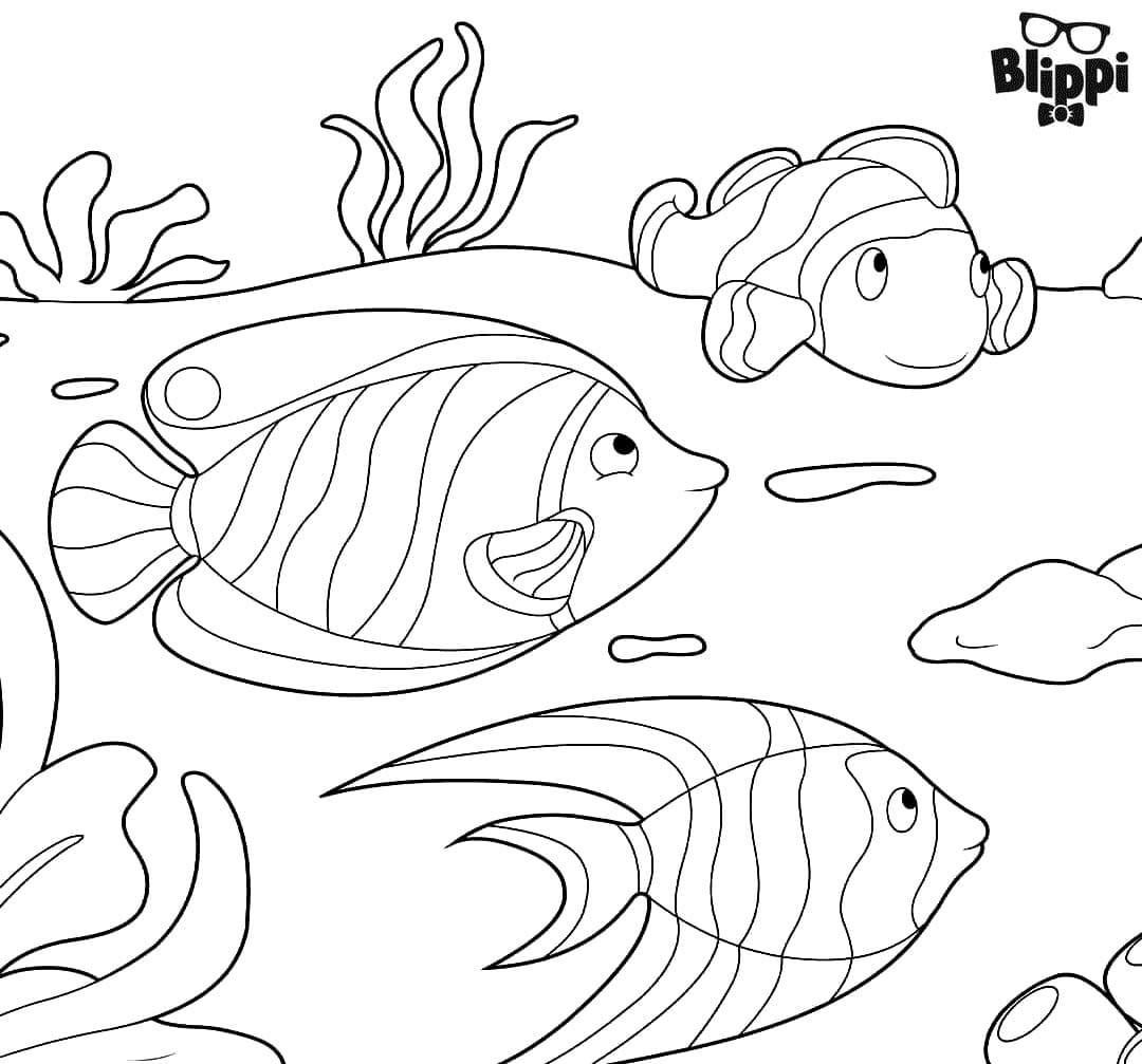 Fisk fra Blippi Tegninger til Farvelægning