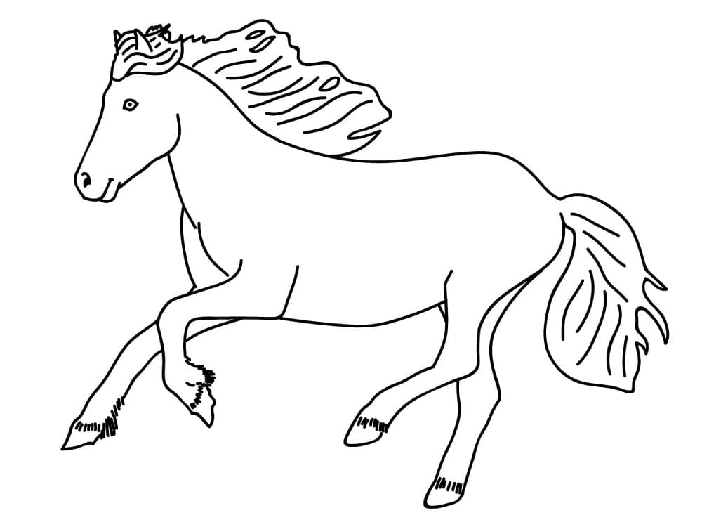 Galoperende Hest Tegninger til Farvelægning