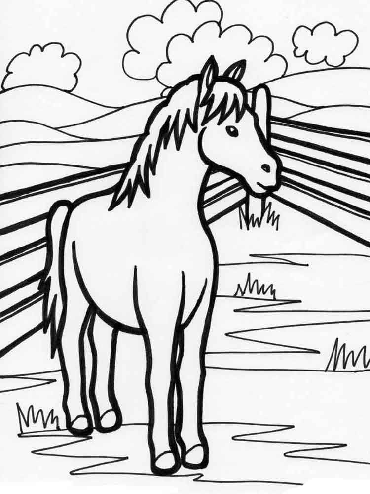 Gammel Hest Tegninger til Farvelægning