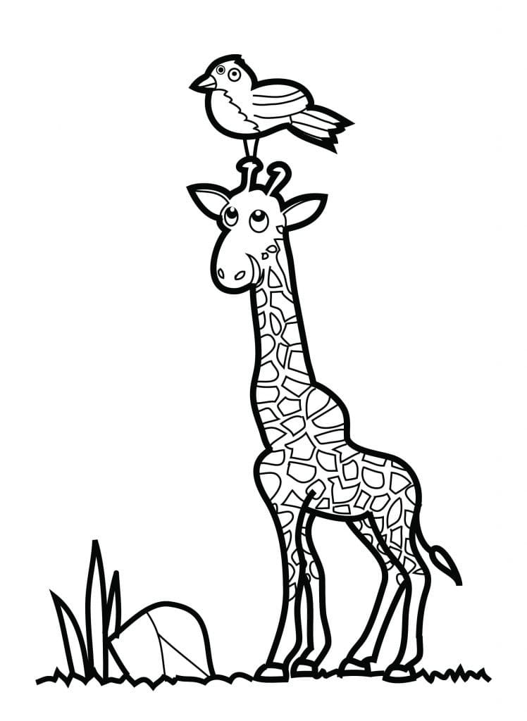 Giraf Og En Fugl Tegninger til Farvelægning