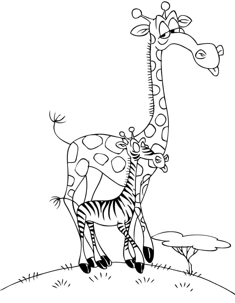 Giraf Og Zebra Tegninger til Farvelægning