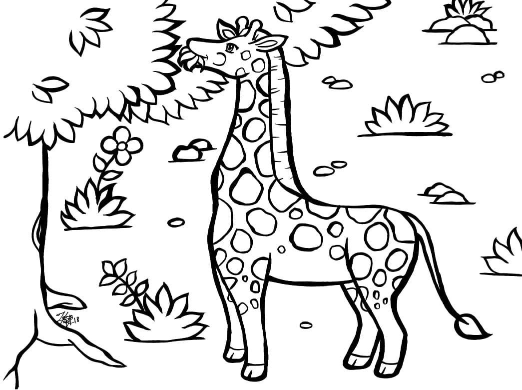 Giraf Spise Blade Tegninger til Farvelægning