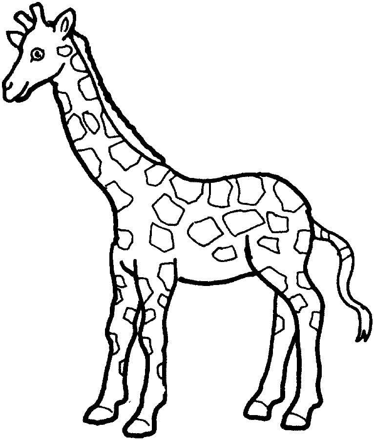 Glad Giraf Tegninger til Farvelægning