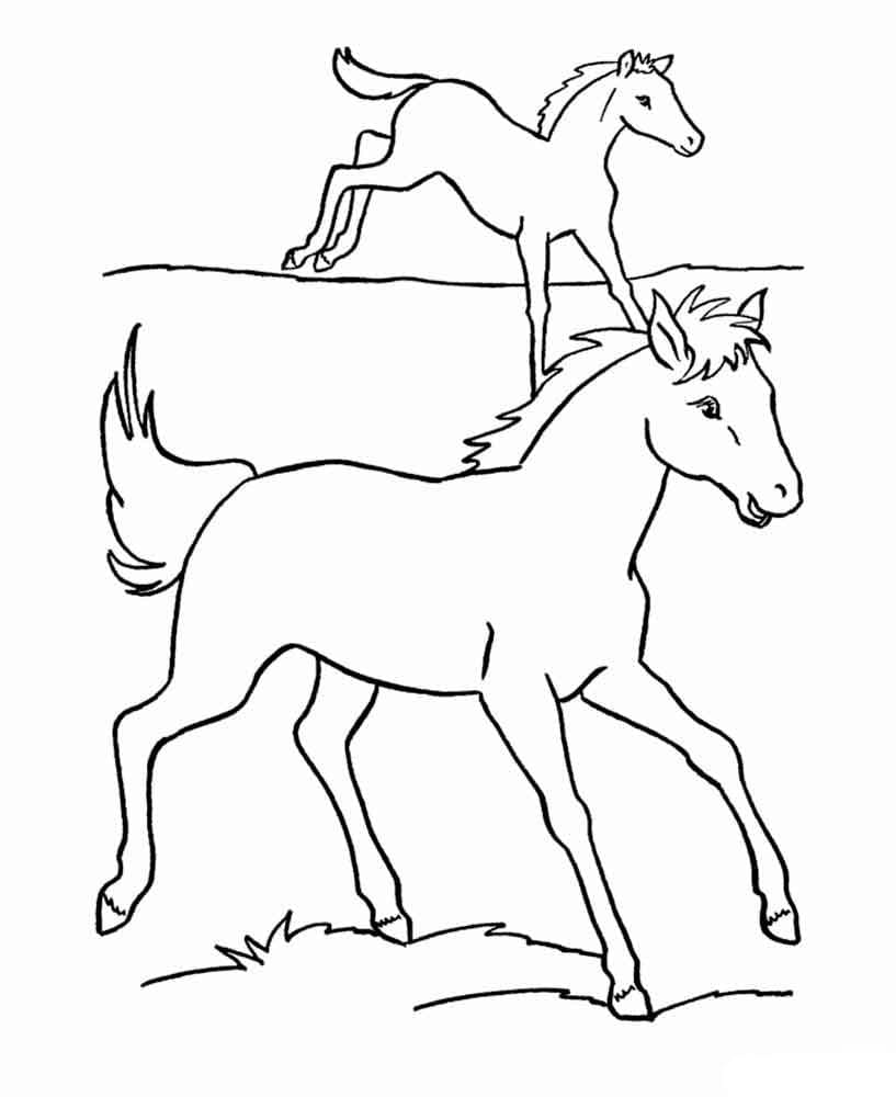 Glad Hest Tegninger til Farvelægning