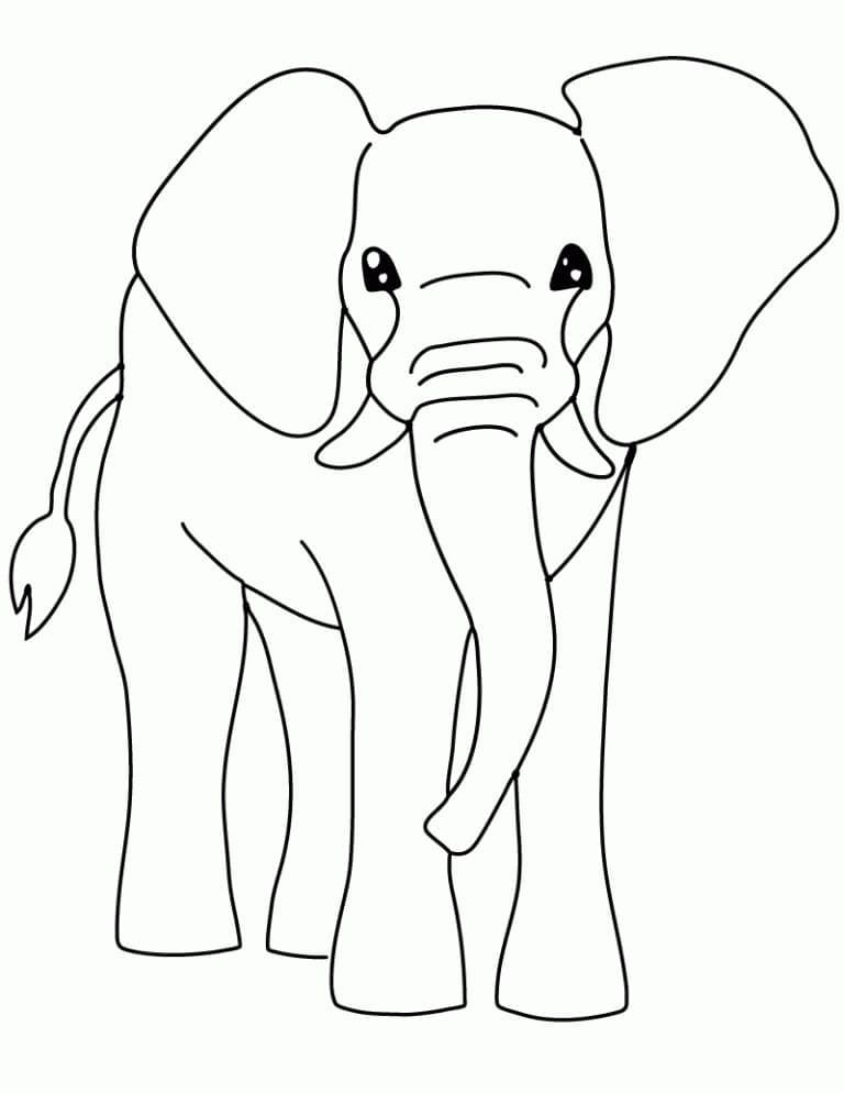 God Elefant Tegninger til Farvelægning