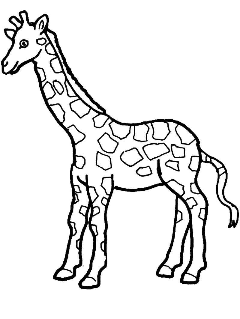God Giraf Tegninger til Farvelægning
