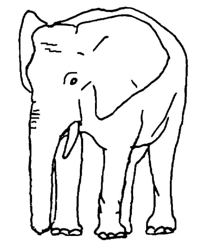 Gratis Elefant Tegninger til Farvelægning