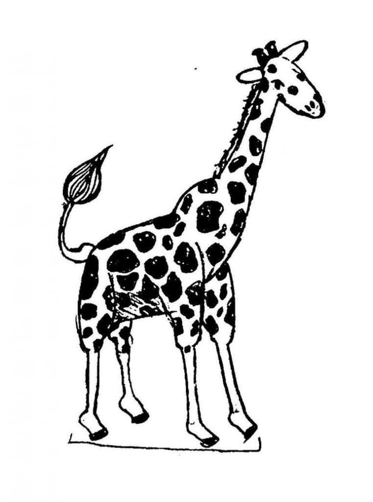 Gratis Giraf Tegninger til Farvelægning