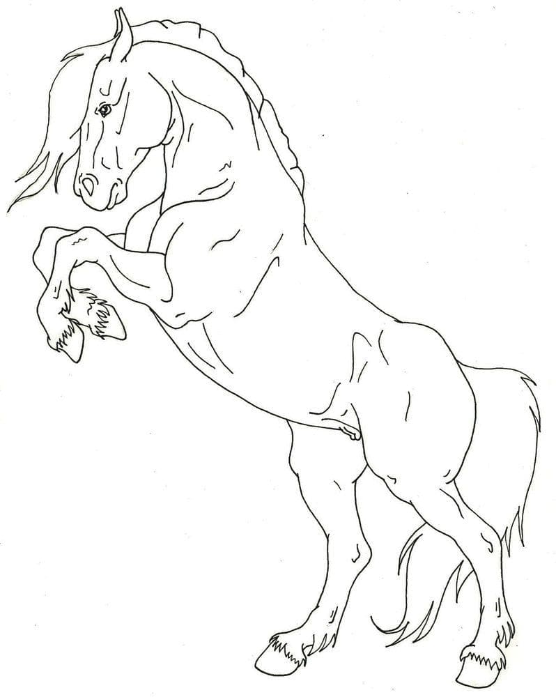 Gratis Hest Tegninger til Farvelægning