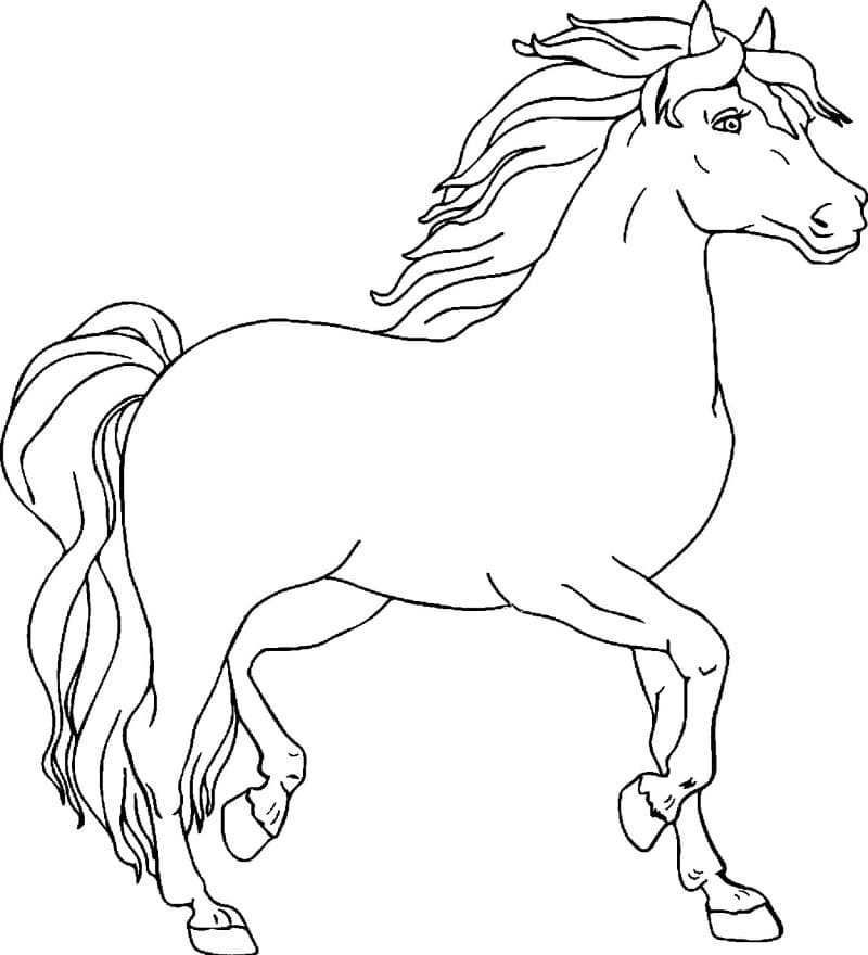 Grundlæggende Hest Tegninger til Farvelægning