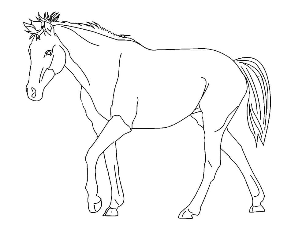 Håndtegnet Hestevandring Tegninger til Farvelægning