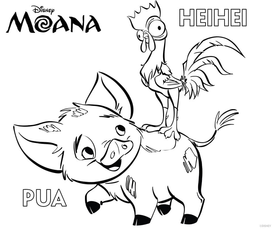 Hei Hei Og Pua Fra Moana Tegninger til Farvelægning