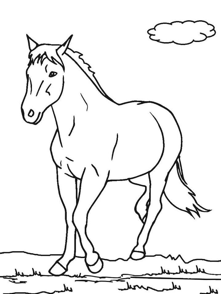 Hest Går Med Sky Tegninger til Farvelægning