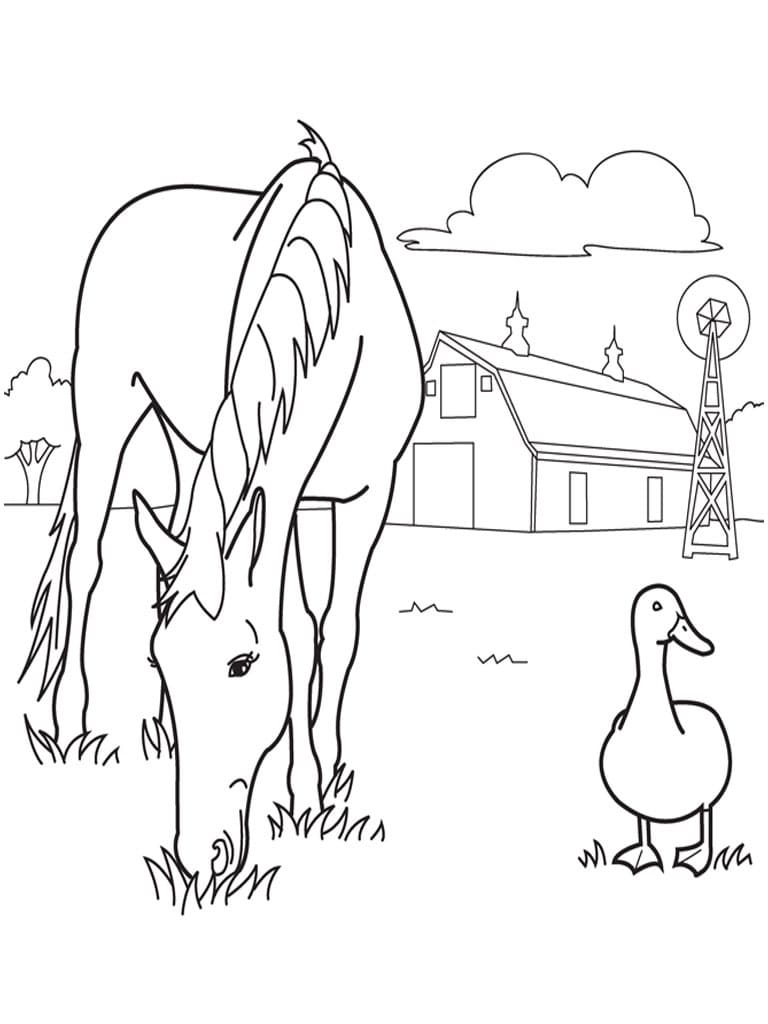 Hest Og And Tegninger til Farvelægning