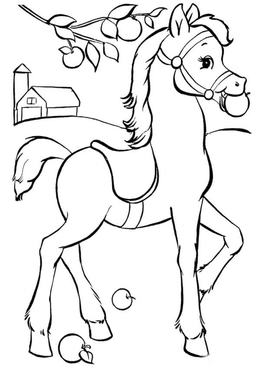 Hest Spiser Æbler Tegninger til Farvelægning