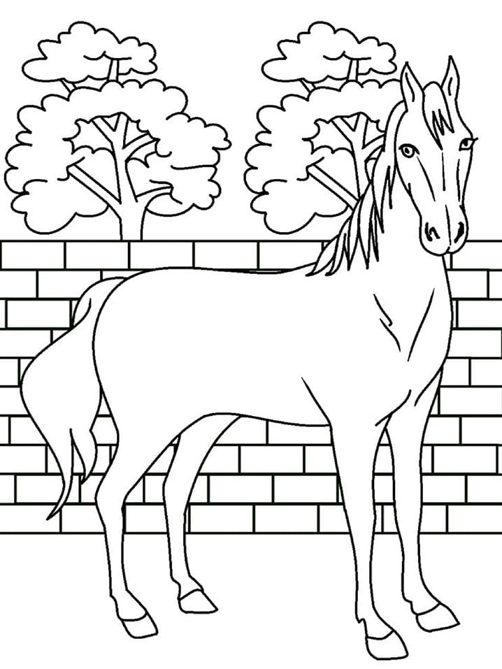 Hest Stående Med Væg Tegninger til Farvelægning