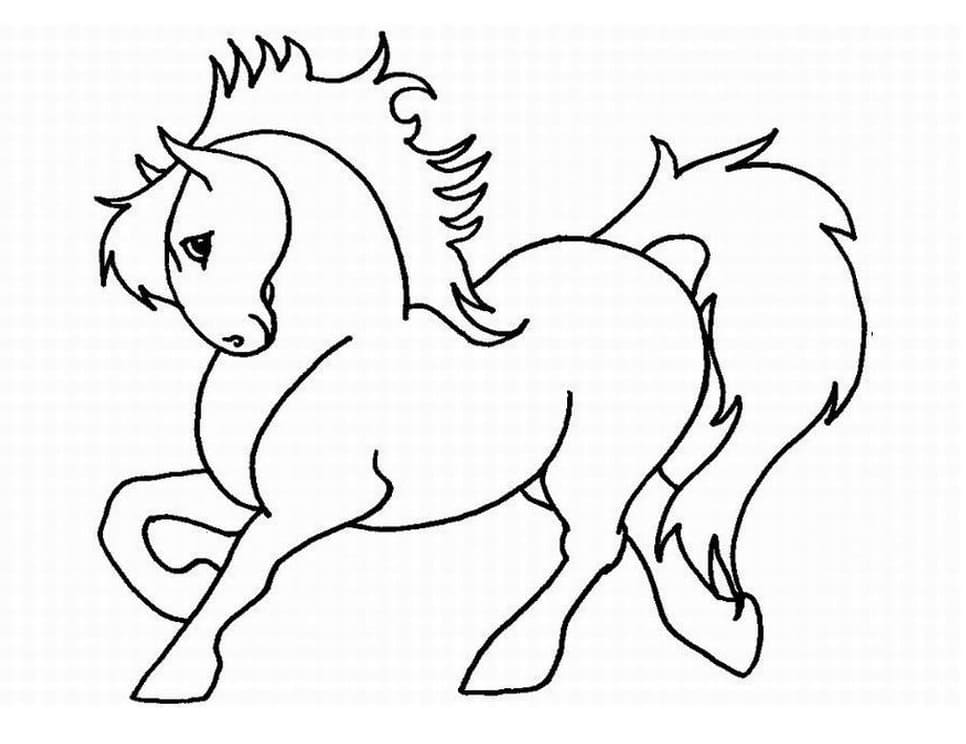 Heste Gratis Billeder Tegninger til Farvelægning