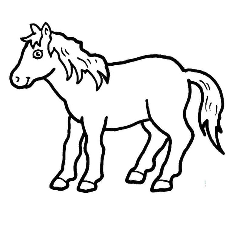 Hestefri Idé Tegninger til Farvelægning