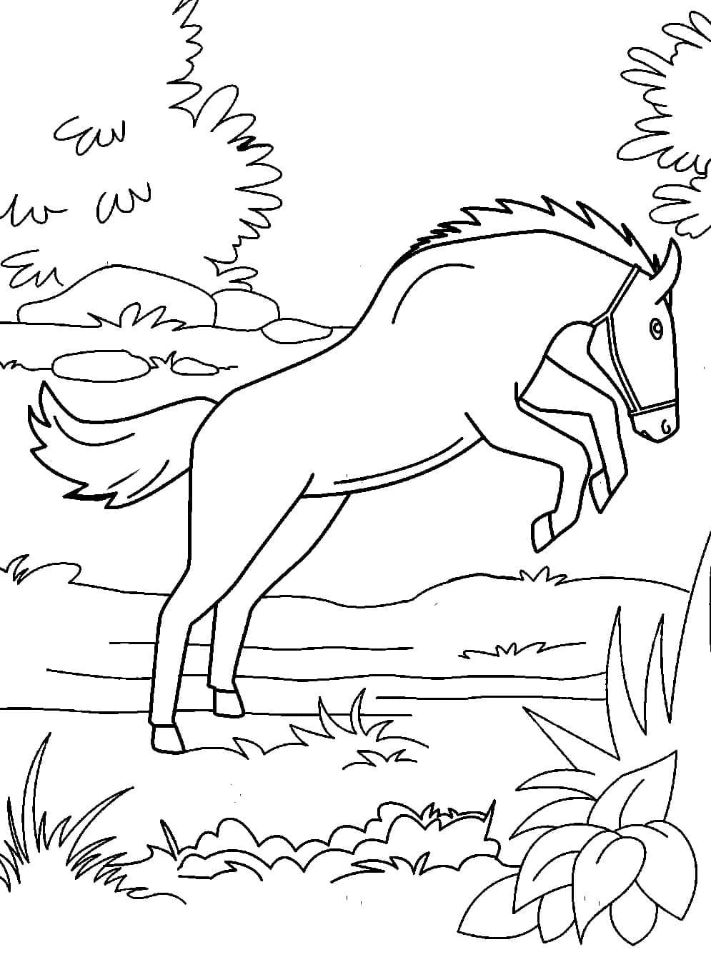 Hestespringning Tegninger til Farvelægning