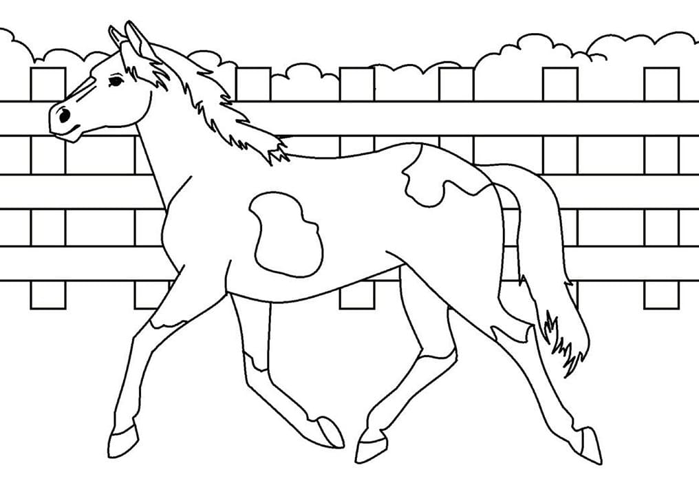 Hestevandring Med Væg Tegninger til Farvelægning